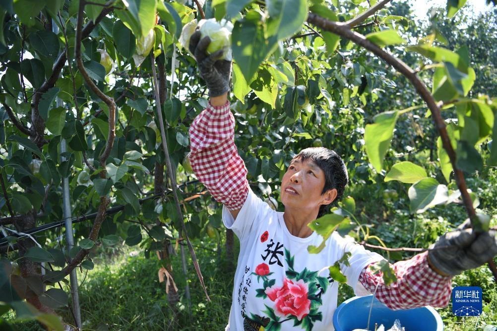 凭手机尾号申请彩金888